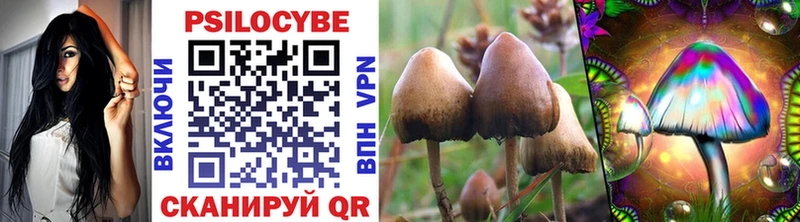 гидра сайт  Нязепетровск  Галлюциногенные грибы Psilocybine cubensis  цены наркотик 